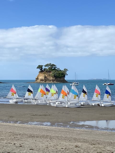 Waiake Beach-  fun in the sun and only a few steps from Cosy Cottage