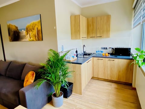 Apartment | Desk, laptop workspace, blackout drapes, soundproofing