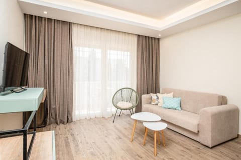 Deluxe Apartment | Living area