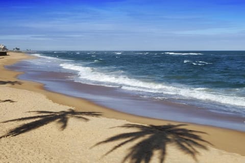 On the beach