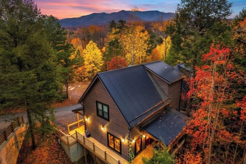 Aerial view of the cabin