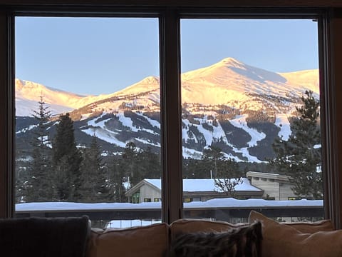 Family Room View
