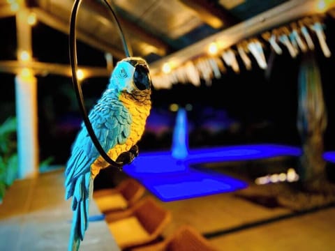 Tiki Bar