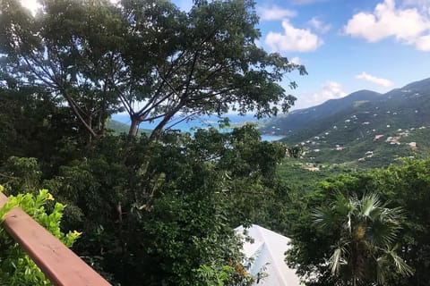View from the front balcony