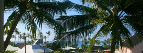 View from Lanai
