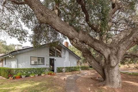 Ancient oak trees frame your private entrance.