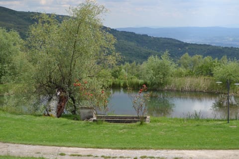 Apartment, 1 Bedroom, Garden View | Fishing