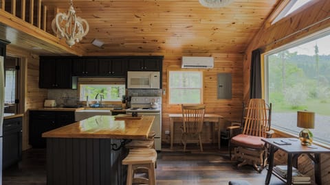 Kitchen and Living Area