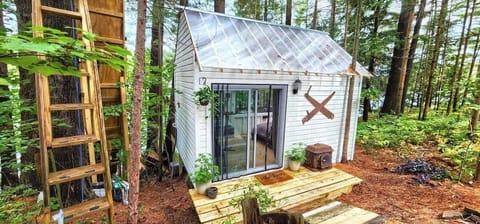 The Stabbin Cabin #2 - Clear roof for sun-drenched afternoons.