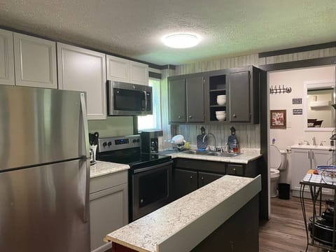 stainless steel refrigerator/freezer, electric stove, microwave, coffeemaker... Kettle, bowls, detergents...  we try to think of everything you might need. 