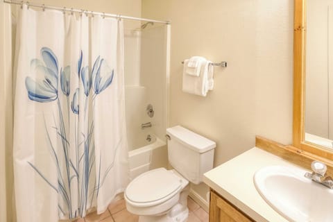 Studio (1 Bedroom) | Interior