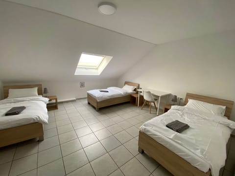 Basic Triple Room, 3 Twin Beds, Shared Bathroom | Desk, free WiFi, bed sheets
