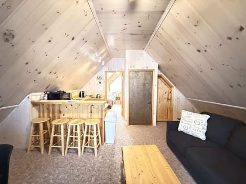 Kitchen and living area.