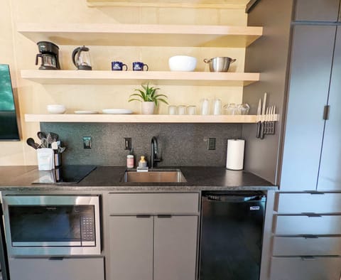 Kitchenette with induction cooktop, microwave, and mini-fridge with freezer