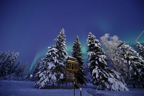 A treehouse nestled among snow-covered trees, illuminated by the northern lights in the night sky.