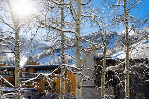 Aspen Mountain view from front patio