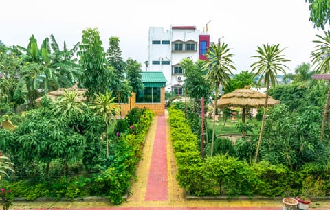 Garden view