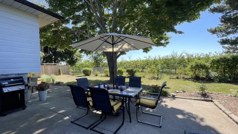 Outdoor dining for 6 overlooking a Mirabelle plum and peach orchard