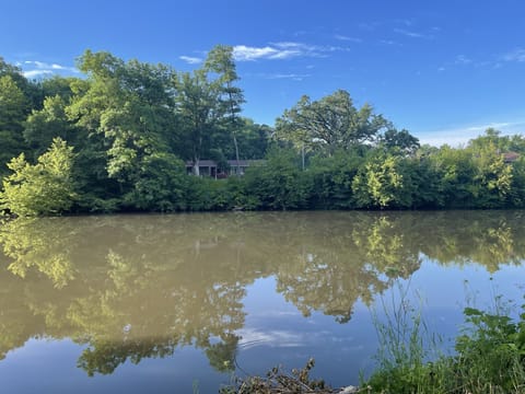 Summer evening view of the house.