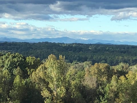 Local View