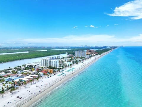 Aerial Beach View