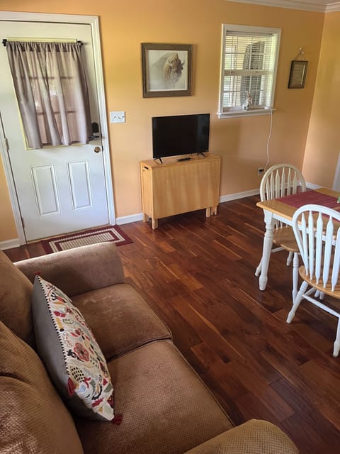 Loveseat and tv in kitchen/dining area