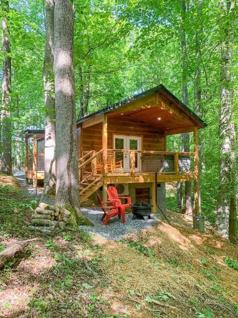 Back Deck - View from below