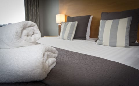 Egyptian cotton sheets, desk, blackout drapes, iron/ironing board