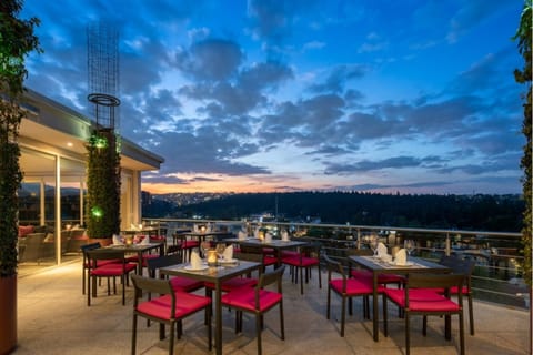 Rooftop terrace