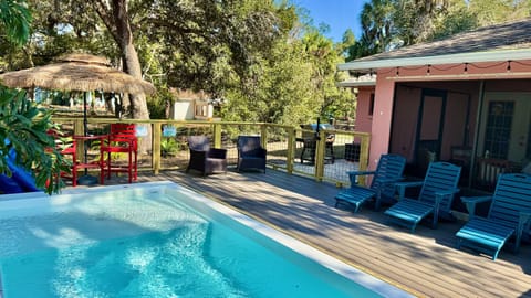 The Flirty Flamingo | Saltwater Pool | Old Homosassa