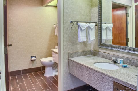 Premium Suite, 1 King Bed, Non Smoking | Bathroom | Free toiletries, hair dryer, towels