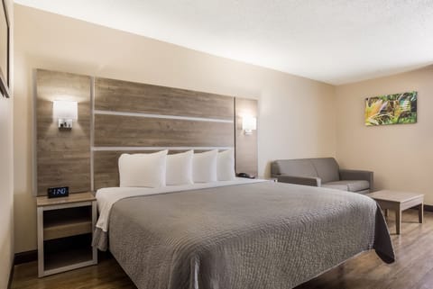 Standard Room, 1 King Bed, Non Smoking | View from room