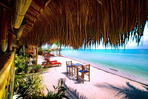 Beach Suite | Terrace/patio