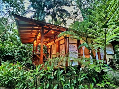Casa Heliconia - feel one with nature