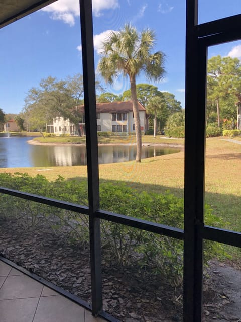 View from the lanai veranda