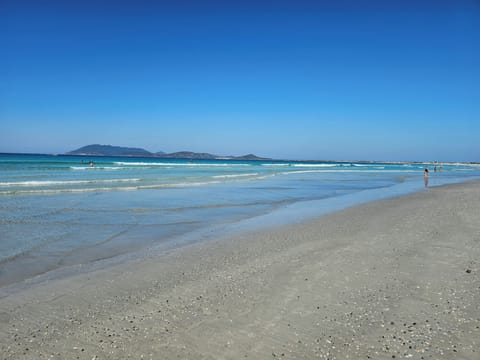 On the beach, white sand, 20 beach bars