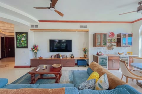 Living room & Bar area