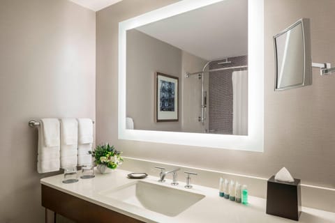 Rainfall showerhead, free toiletries, hair dryer, towels