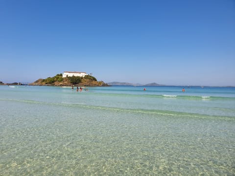 Beach nearby, white sand, 20 beach bars