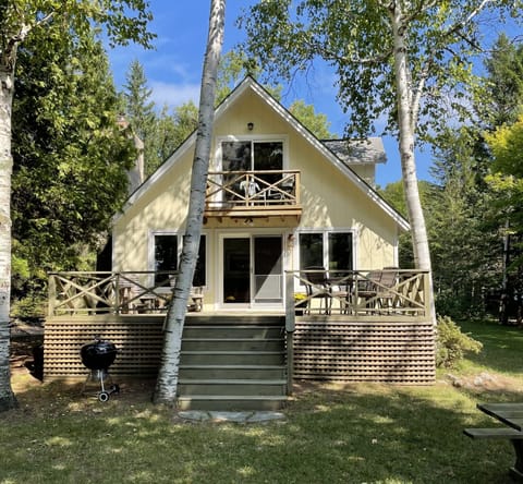 Welcome to Mellow Yellow !!!