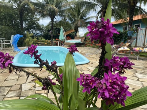 Basic Cottage | Living area | Flat-screen TV