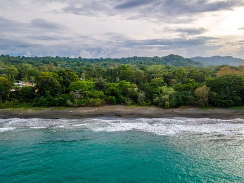 Beach nearby, black sand