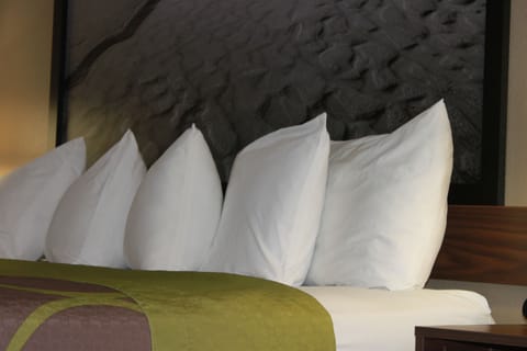 Standard Room, 1 King Bed | Desk, free cribs/infant beds, rollaway beds, bed sheets