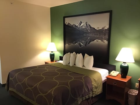 Room, 1 King Bed, Non Smoking | Desk, laptop workspace, blackout drapes, soundproofing