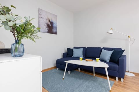Spacious living room with full equipment. 