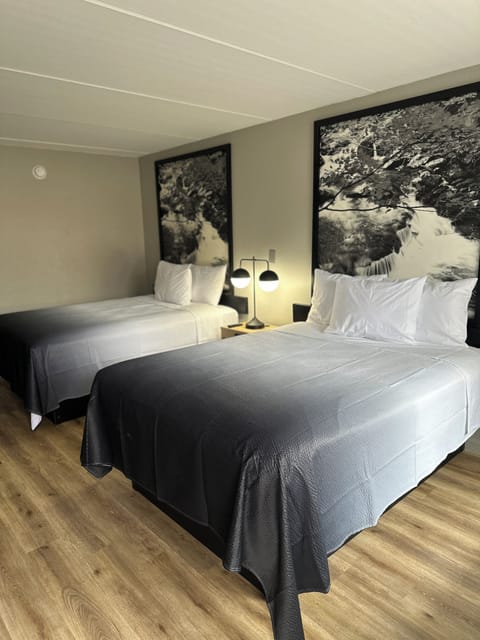 Desk, iron/ironing board, free cribs/infant beds, free rollaway beds