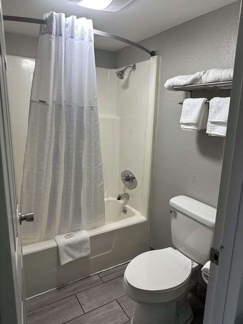 Combined shower/tub, free toiletries, hair dryer, towels