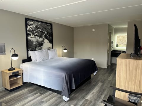 Desk, iron/ironing board, free cribs/infant beds, free rollaway beds