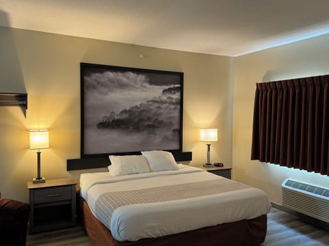 Blackout drapes, iron/ironing board, free WiFi, bed sheets