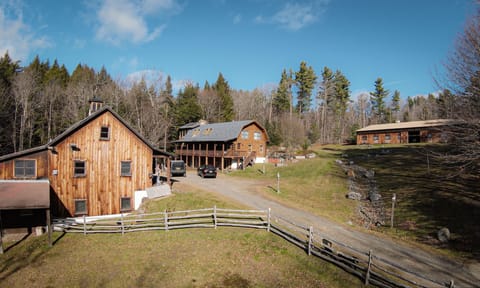 In the guest house yard.